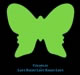 Free Coldplay Mp3 download